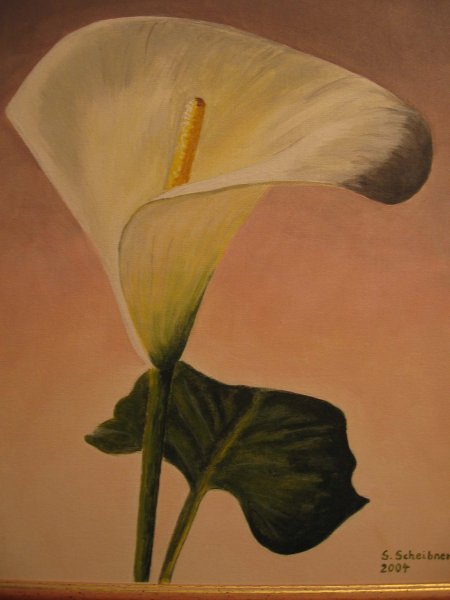 Calla