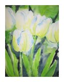 Tulpen 2