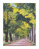 Allee